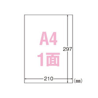 エーワン 31034 屋外でも使えるサインラベルシール 光沢フィルム A4 1面10シート