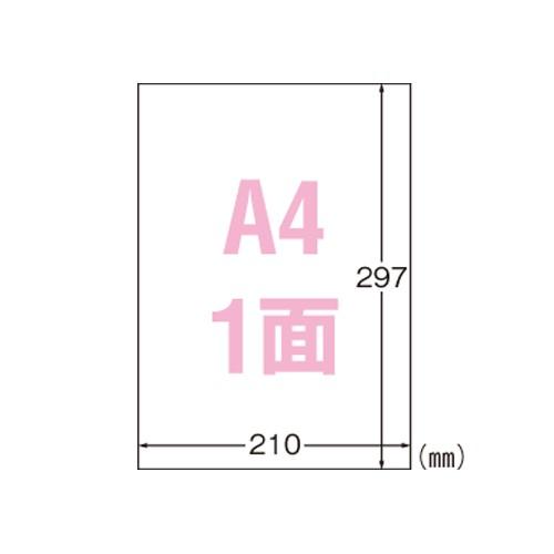 エーワン 31043 屋外でも使えるサインラベルシール 粗面に貼れるツヤ消しフィルム A4 1面 5セット