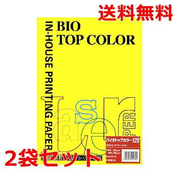 伊東屋 バイオトップカラー 120g A4 BT312 カナリーイエロー 50枚×2 モンディ