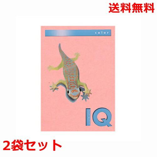 伊東屋 バイオトップカラー 80g A4 BT504 ピンク 500枚×2 モンディ